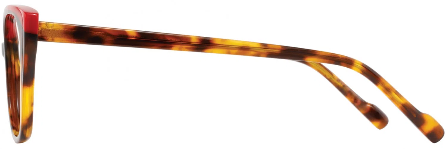 Scott Harris SH846 Eyeglasses - view 11